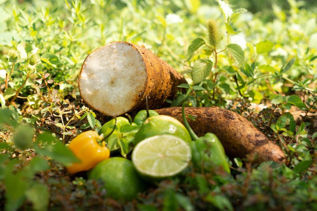 Close-Up Shot of Fresh Cassava and Lemons