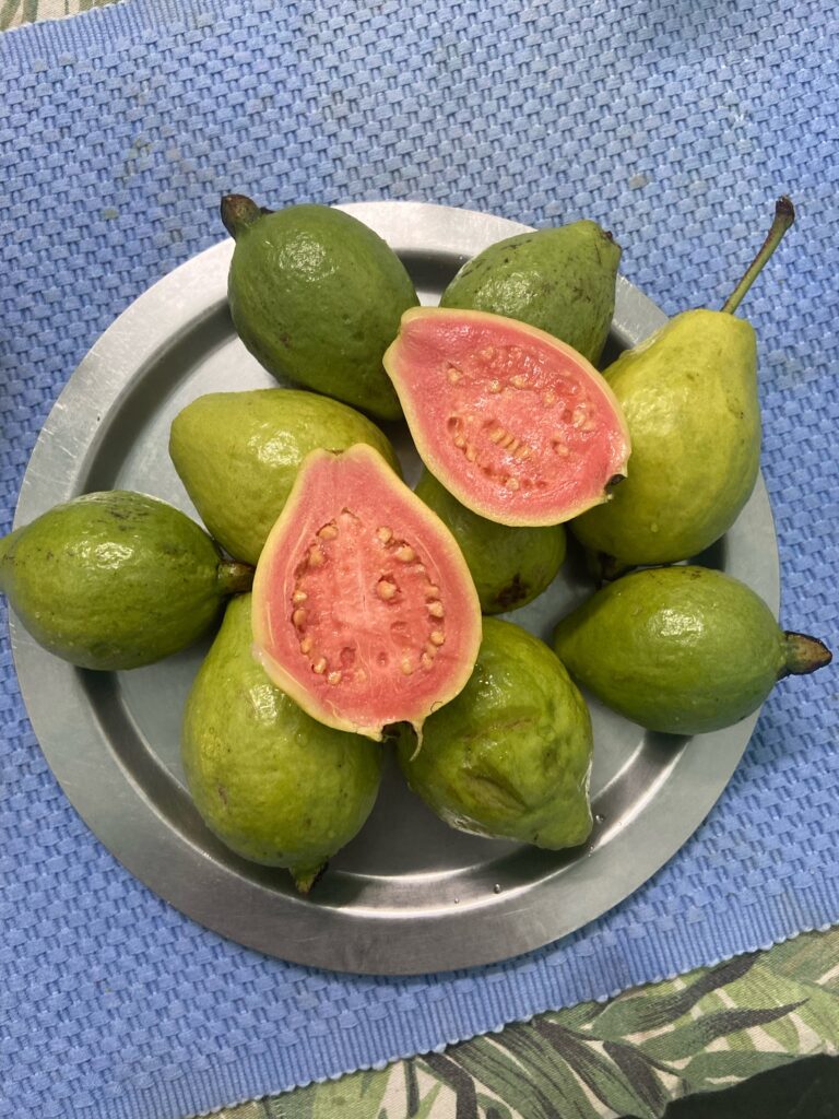 Organic Guava