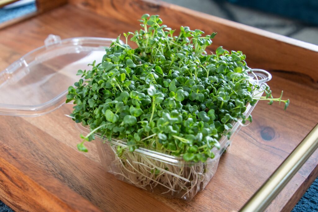 a plastic container filled with green plants on top of a wooden tray