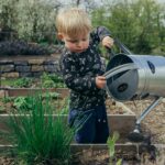 Smart Watering Strategies for a Cool Summer Garden