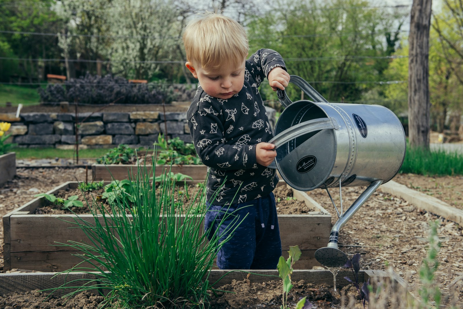 Smart Watering Strategies for a Cool Summer Garden